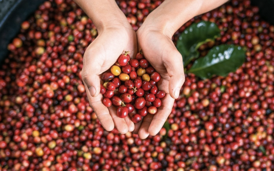 Stressed at work? Don’t worry, just drink COFFEE! Here’s why…